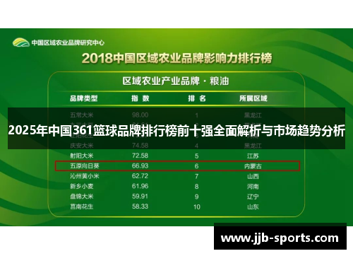 2025年中国361篮球品牌排行榜前十强全面解析与市场趋势分析