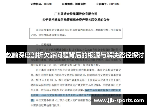 赵鹏深度剖析欠薪问题背后的根源与解决路径探讨